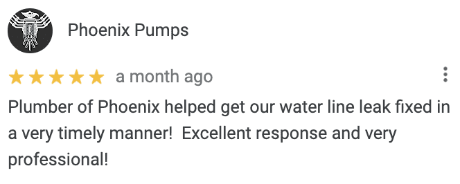 Google Review from Phoenix Pumps